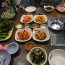 육세기