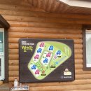 울산 캠핑장 추천/ 입화산 자연휴양림 별뜨락 카라반 캠핑 후기(101호 큰곰별)