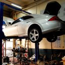 토마토모터스 이미지