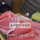 요이참치 사송점
