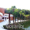 여수봉황산자연휴양림 이미지