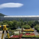 평화공판장 이미지