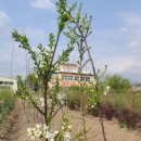 문관농장 이미지