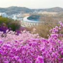 부천 진달래꽃축제 만석시 해결법 부설 주차장 안내