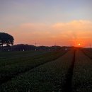 함덕애(愛) 펜션 이미지