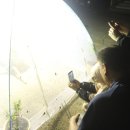 여름곤충 탐구생활 이미지