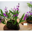 비엔나모텔 이미지