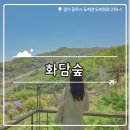 ‧₊ ⚘[경기 여행]곤지암 관광지 화담숲┃초록뷰도 멋진 화담숲 방문 후기, 스탬프 투어 위치