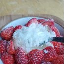 커피솜