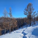 중부-현장-중부-301 | 2023년 겨울 6박7일 홉스골 여행 후기(내돈내산) _리더스투어