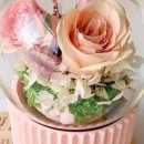 솝앤버블스 이미지