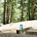 08-01-2026 Kelly Camp Via Icehouse Canyon 이미지