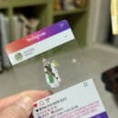 여수 :: 남산동 여수점집 ‘엄지신궁’ 신점 후기 🪷 오방타로가 뭐지?