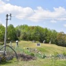 박치 묘역 및 석물 이미지