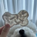 간식특공대 | [강아지 리뷰] 강아지특공대 개뻥 후기｜국산 강아지 간식 추천