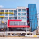 펫글타운 이미지