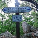 長樂短脈(장락단맥)의 길게 즐거운산; 長樂山과 왕터산 종주 이미지