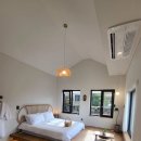 더포레스트하소로 이미지