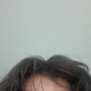 김태식 복싱클럽 이미지