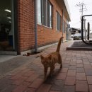 도니울마을 이미지