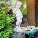 식탁위의텃밭 이미지