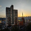 엘지마트 티스토리