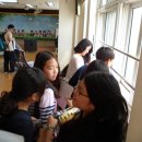 영덕초교 이미지