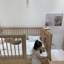 다원디자인 | 안데르센 올리버 하이가드 침대구매후기(다원침대의 역사)