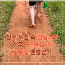 금천배수지근린공원 이미지