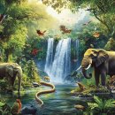 Interesting animals in forests, oceans, and grasslands around the world 이미지