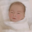 산골초가펜션