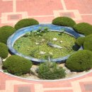 울산양정초등학교 이미지