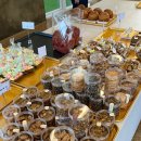 더마레 104 이미지