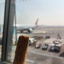 플랜A | 2026 제주북페어 후기 (1) 플랜 A, 플랜 B, 플랜 C