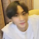 재노