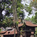 하노이 행정사 이미지