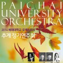 배재대학교 이미지