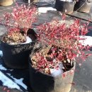 해피팜농장 이미지