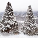 다온케어 이미지