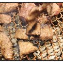 압구정화로구이 상남점 이미지