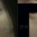 연세지움