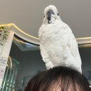 닥터존. 족욕 | 오션뷰와 동물과 직접교감 가능한 이색카페 세븐테마카페 방문후기 광안리이색데이트 광안리놀거리 추천