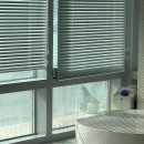 리벤시아 이미지