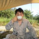 돼지들의이야기 이미지