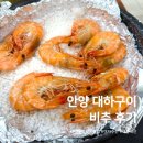 여자수산 | 안양대하구이 내돈내산 아쉬운 후기 [비산동 횟집 여자수산]