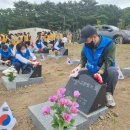 제주도청 제주도민일보
