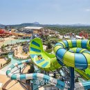 주)월드마트 이미지