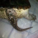 마들역(7호선) 이미지