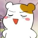 용가네 - 수원시 권선구 | 용가네