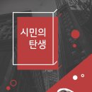 제제나무